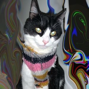 Meet your Posher, Sheila